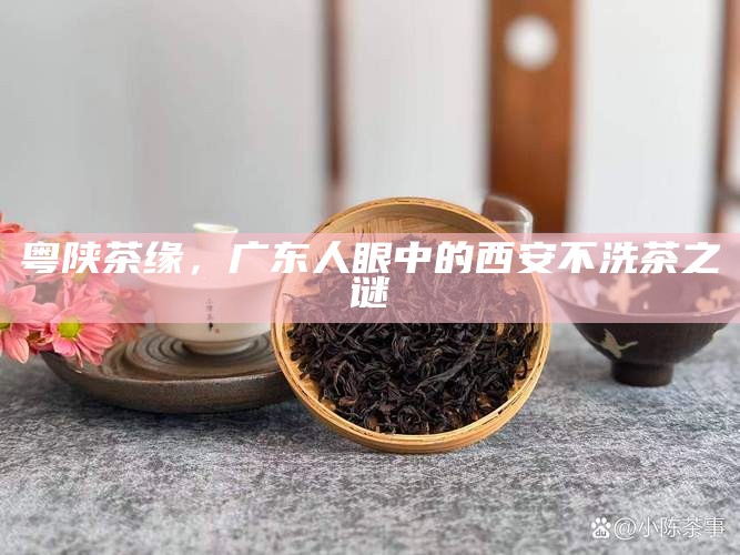 粤陕茶缘，广东人眼中的西安不洗茶之谜